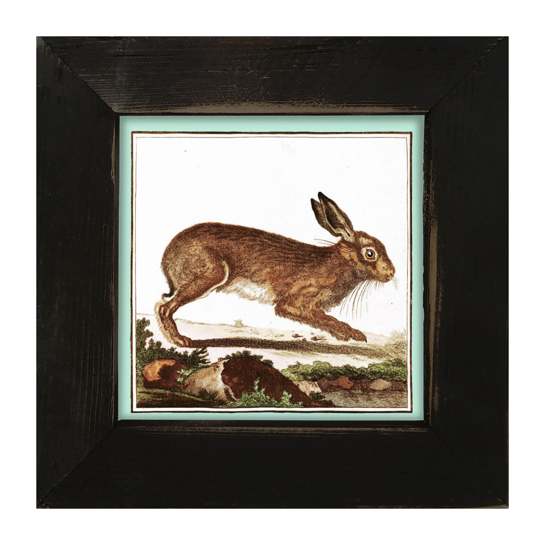 Vintage Brown Bunny - Framed art