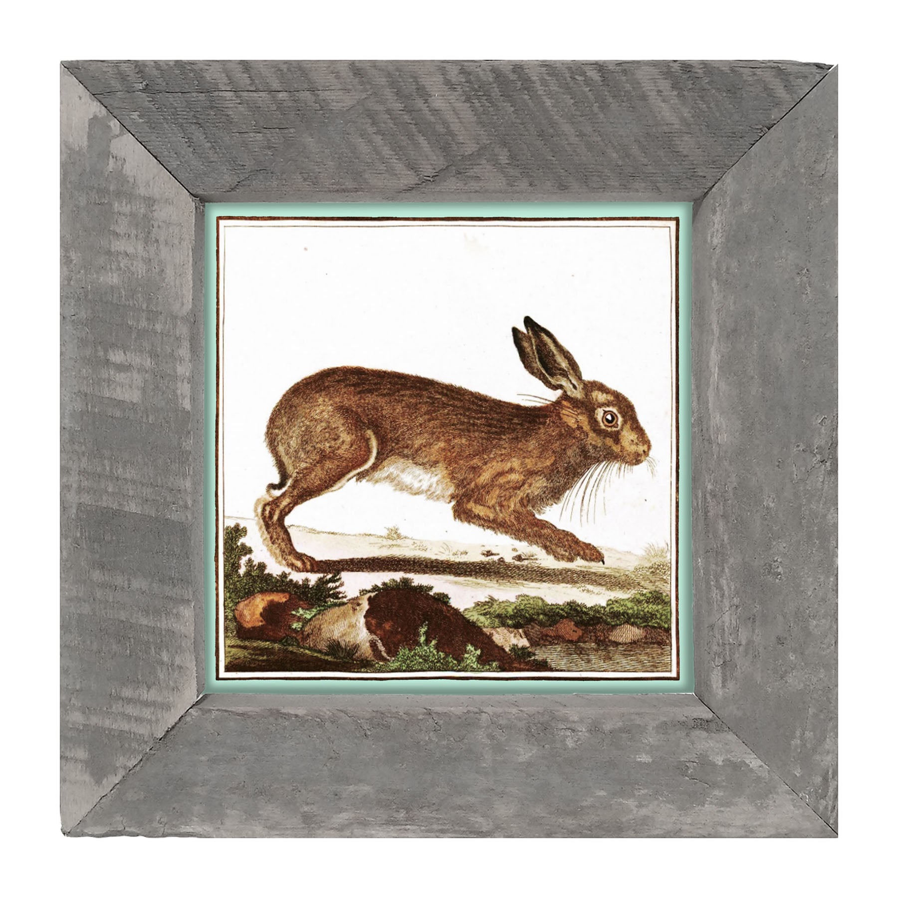 Vintage Brown Bunny - Framed art