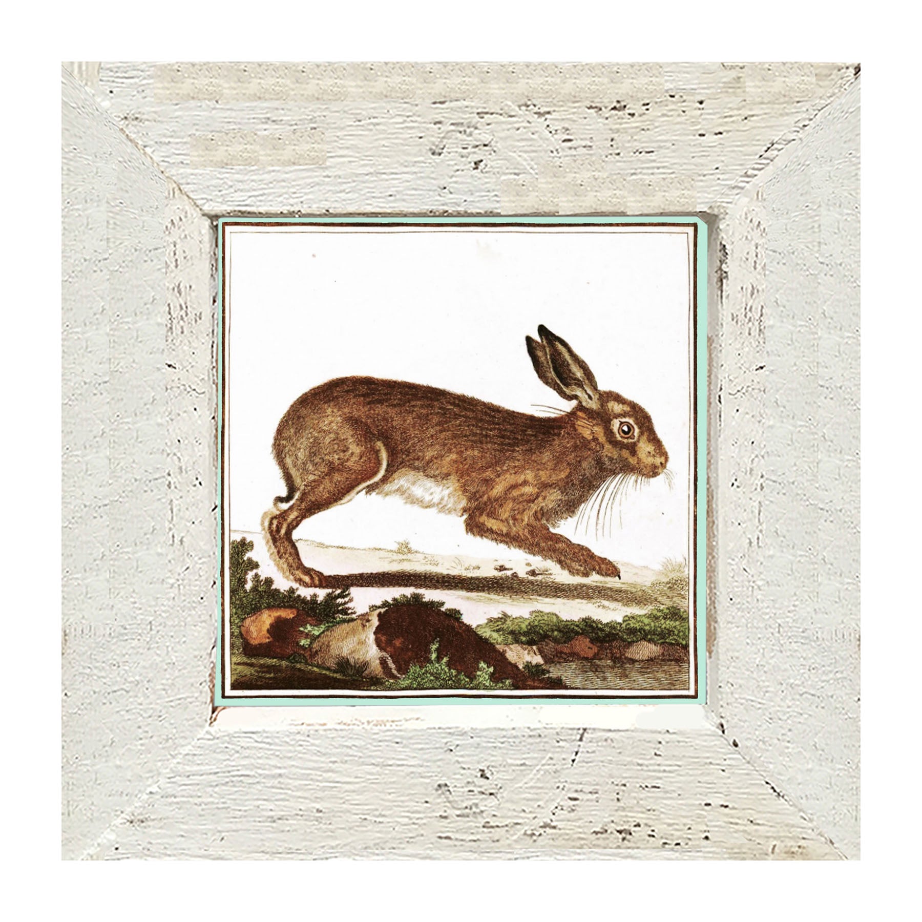Vintage Brown Bunny - Framed art