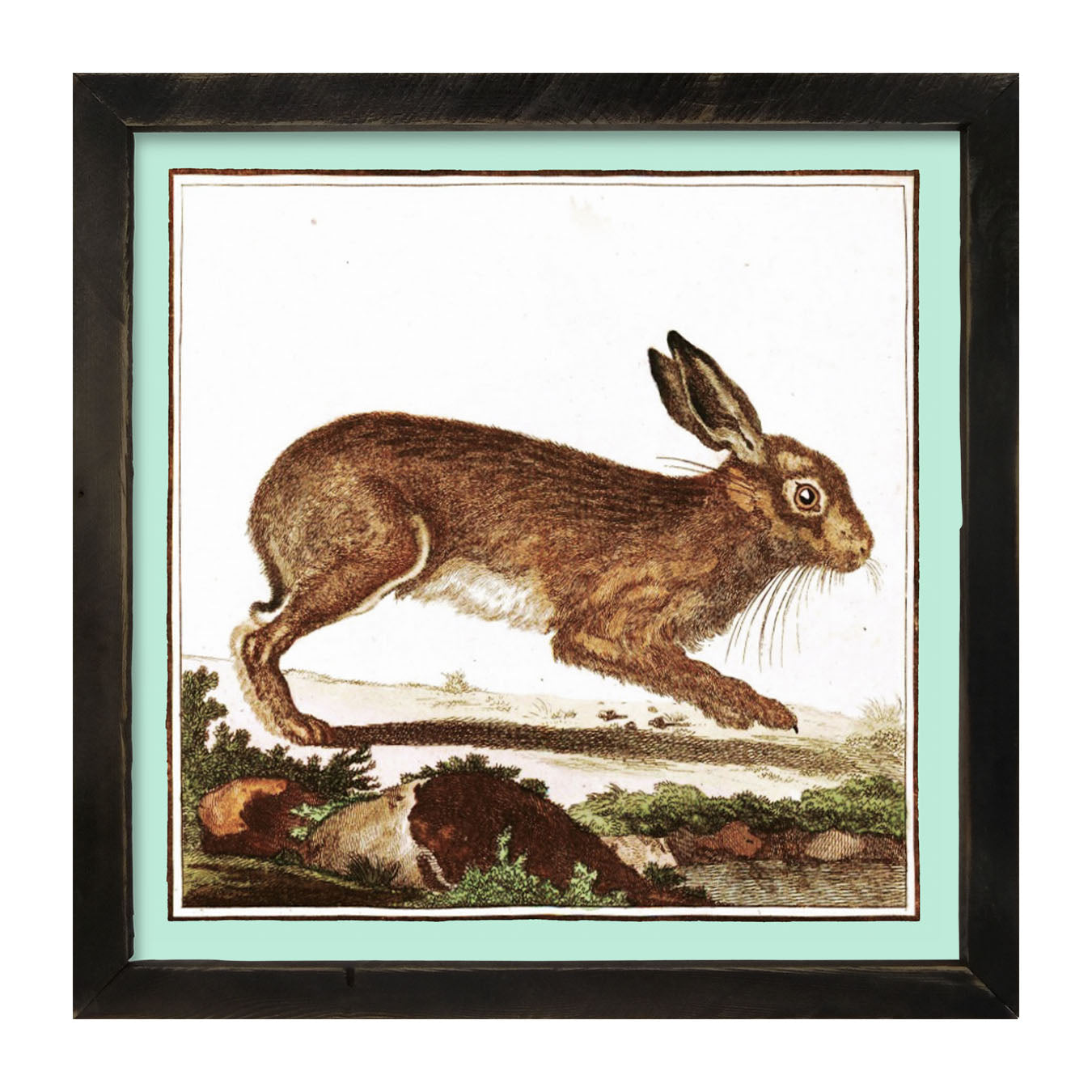Vintage Brown Bunny - Framed art