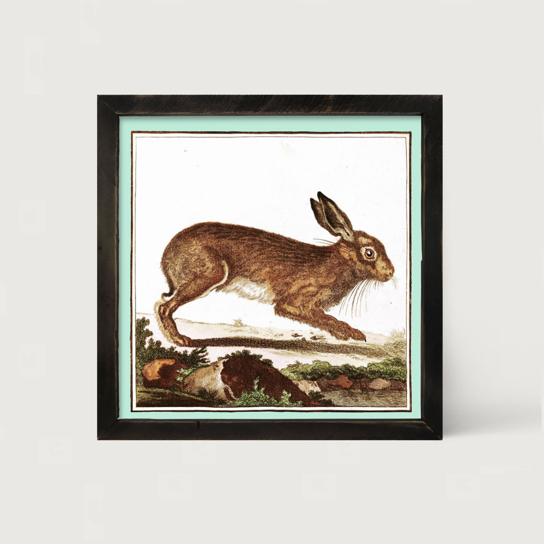 Vintage Brown Bunny - Framed art