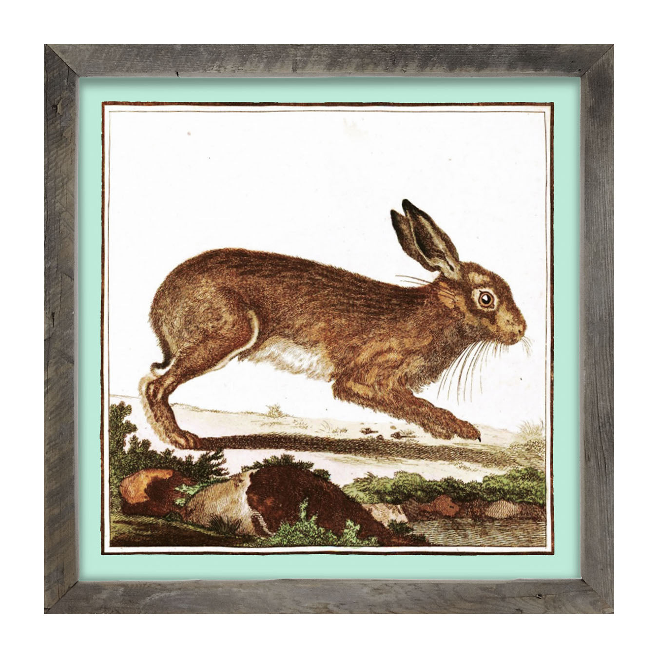 Vintage Brown Bunny - Framed art