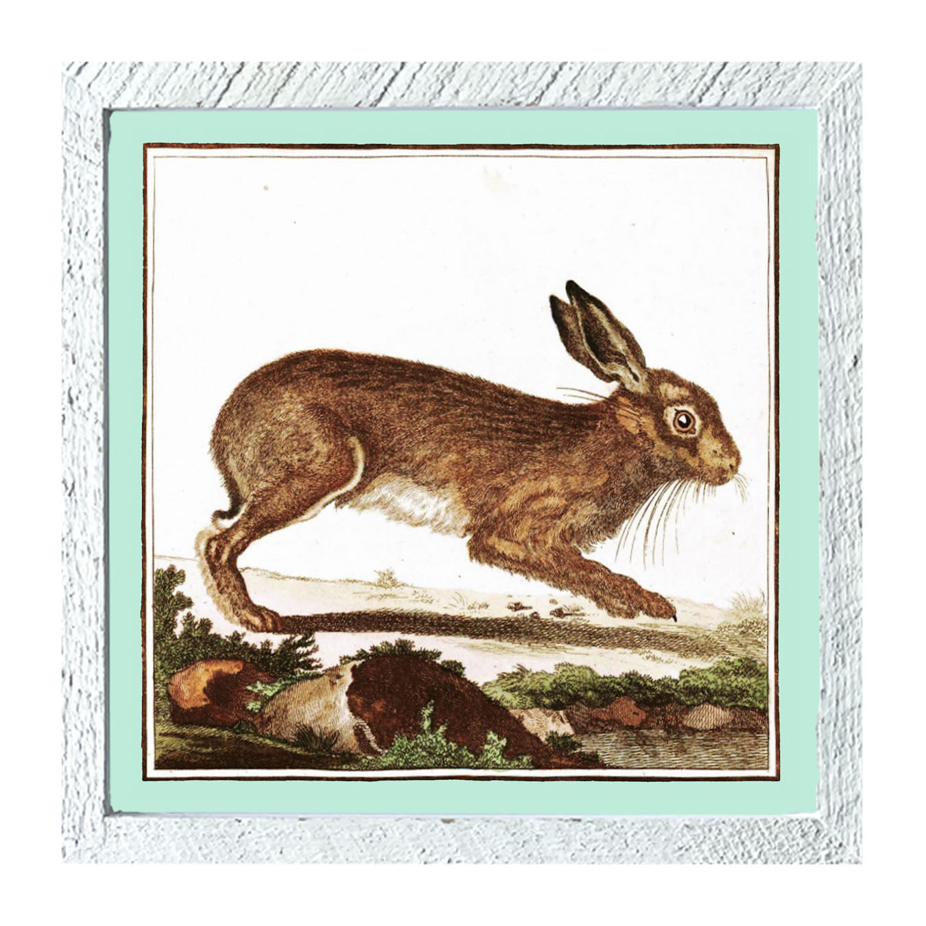 Vintage Brown Bunny - Framed art