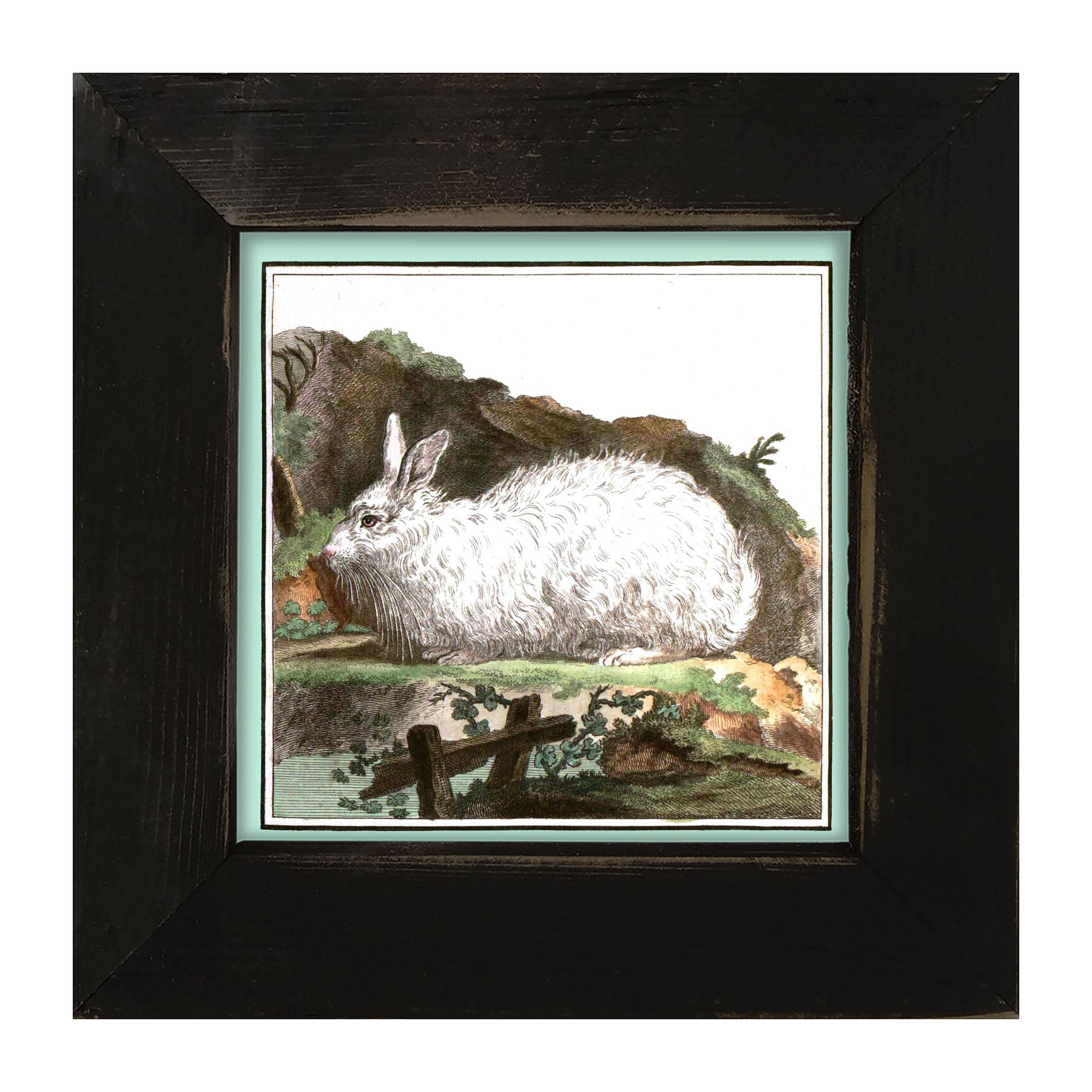 Vintage White Bunny - Framed art