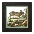 Framed Art