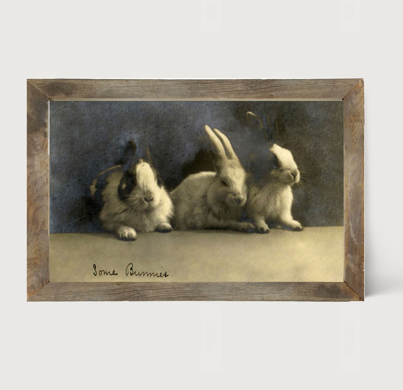 Some Bunnies - Framed art