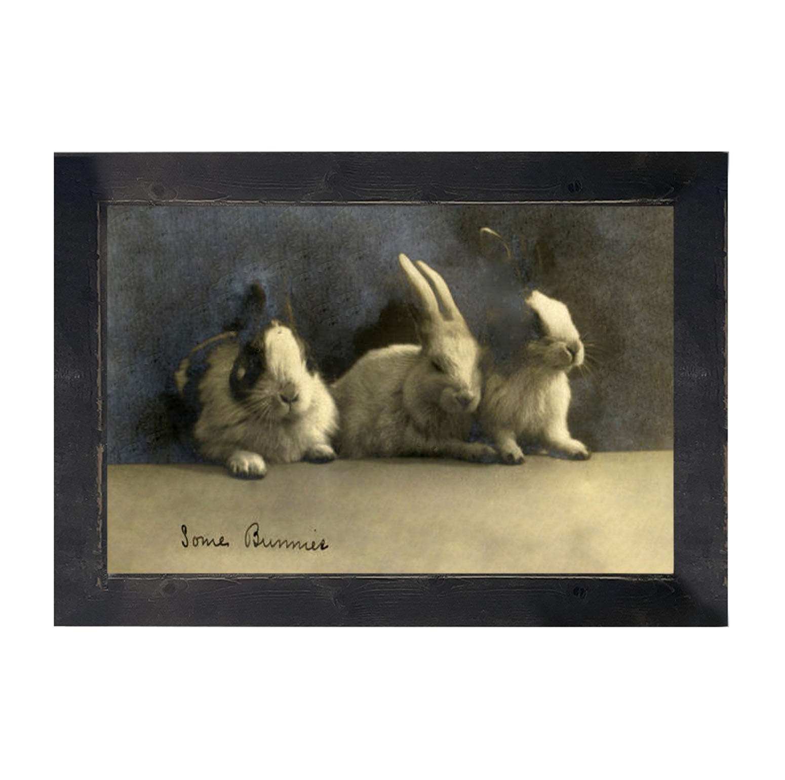 Some Bunnies - Framed art