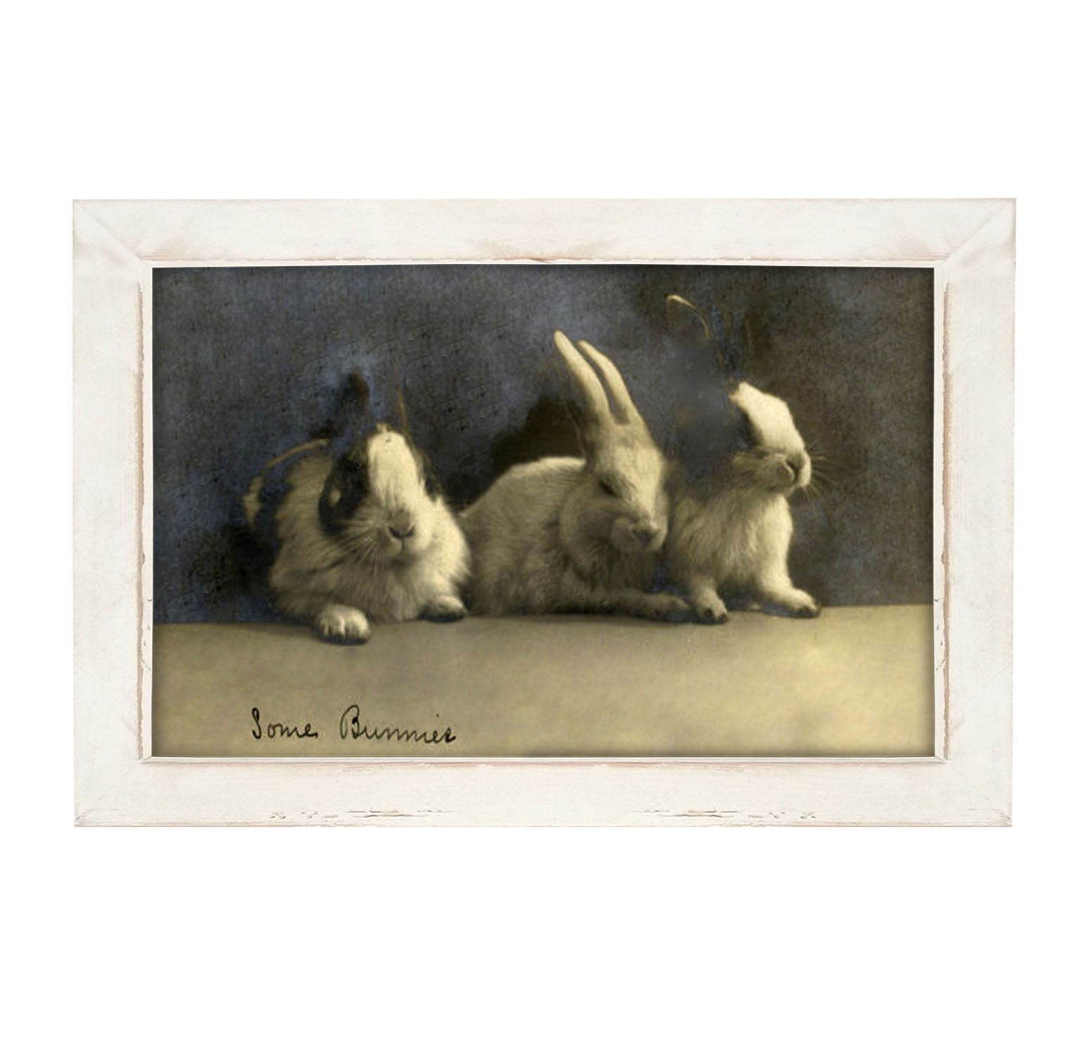 Some Bunnies - Framed art