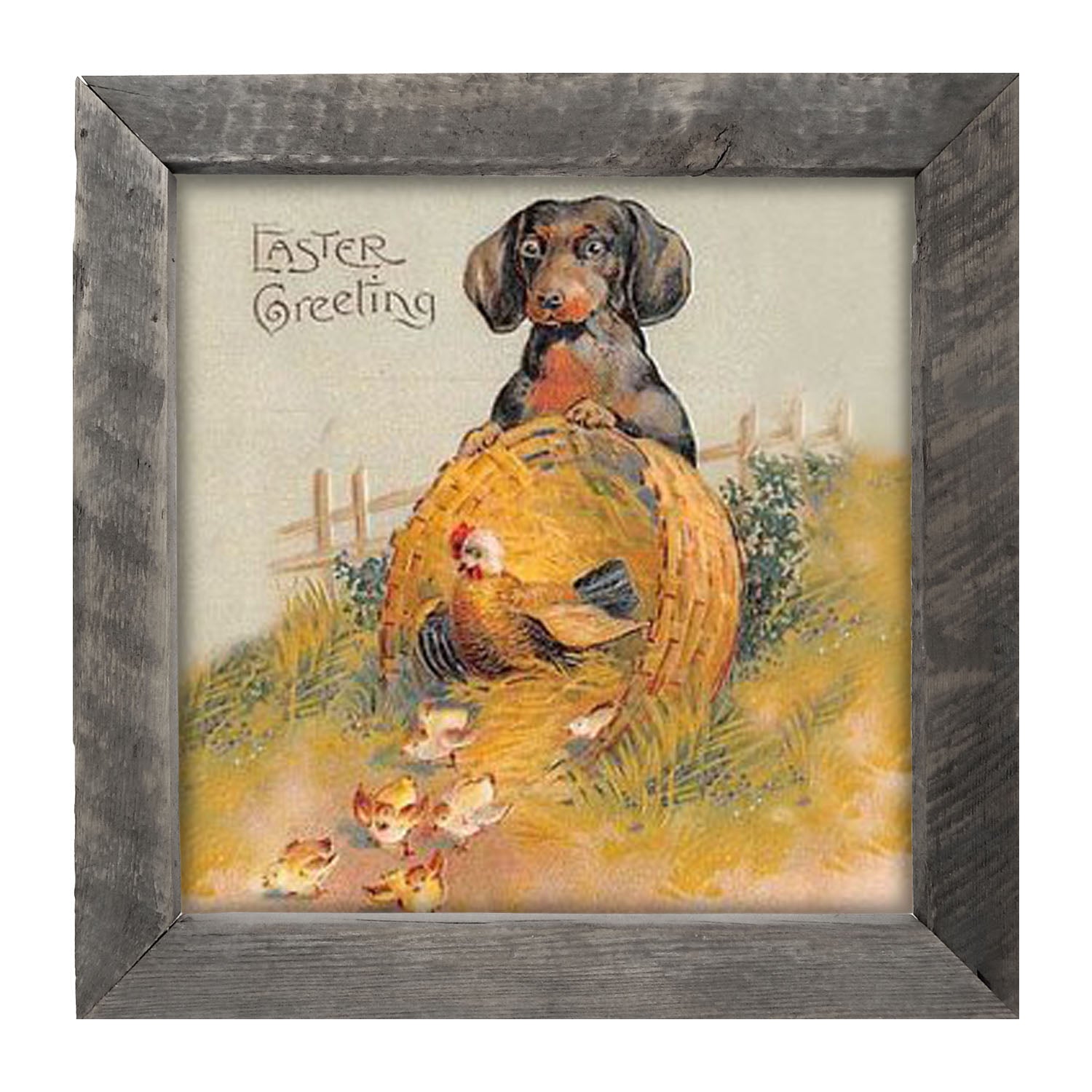 Dachshund with Baby Chicks - Framed art