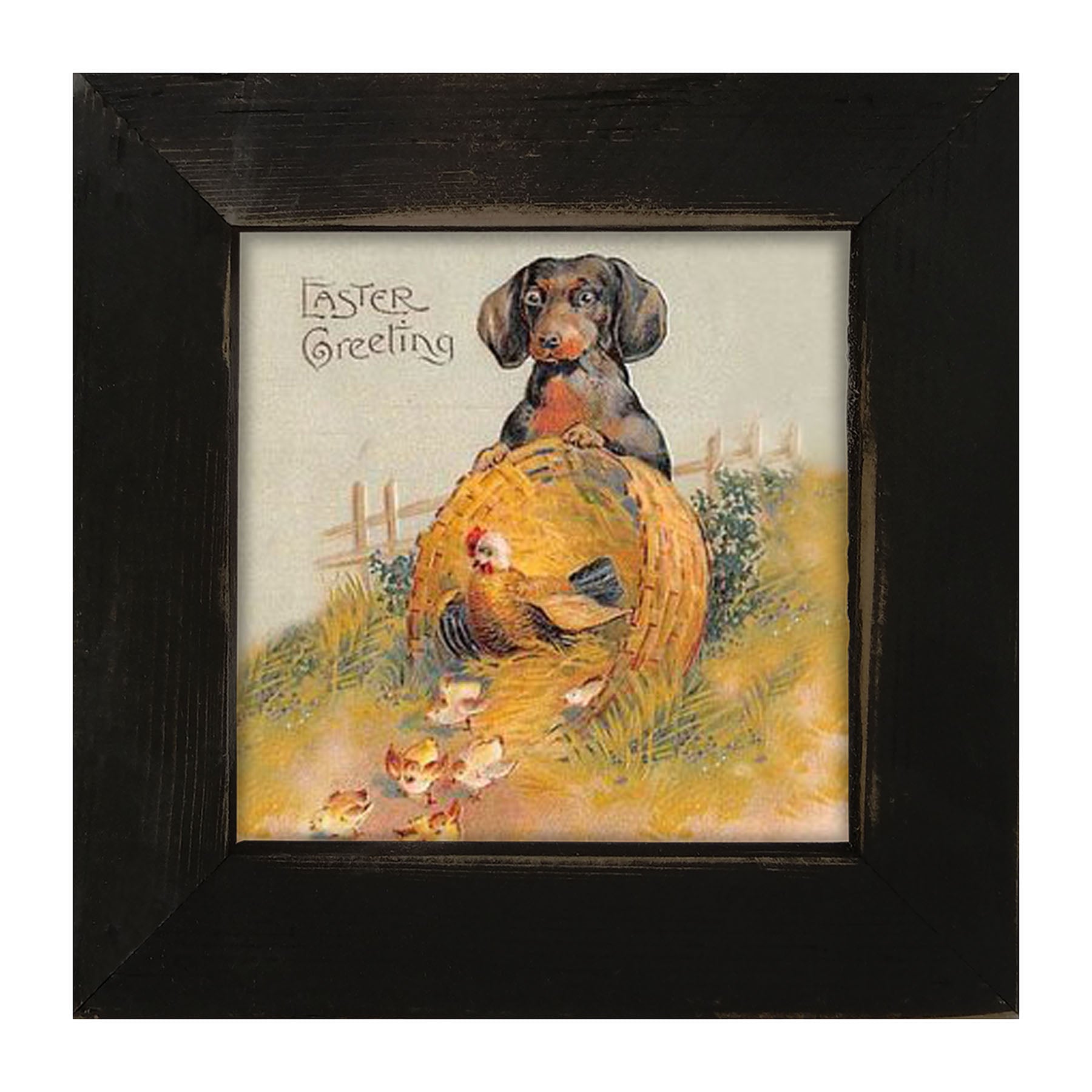 Dachshund with Baby Chicks - Framed art