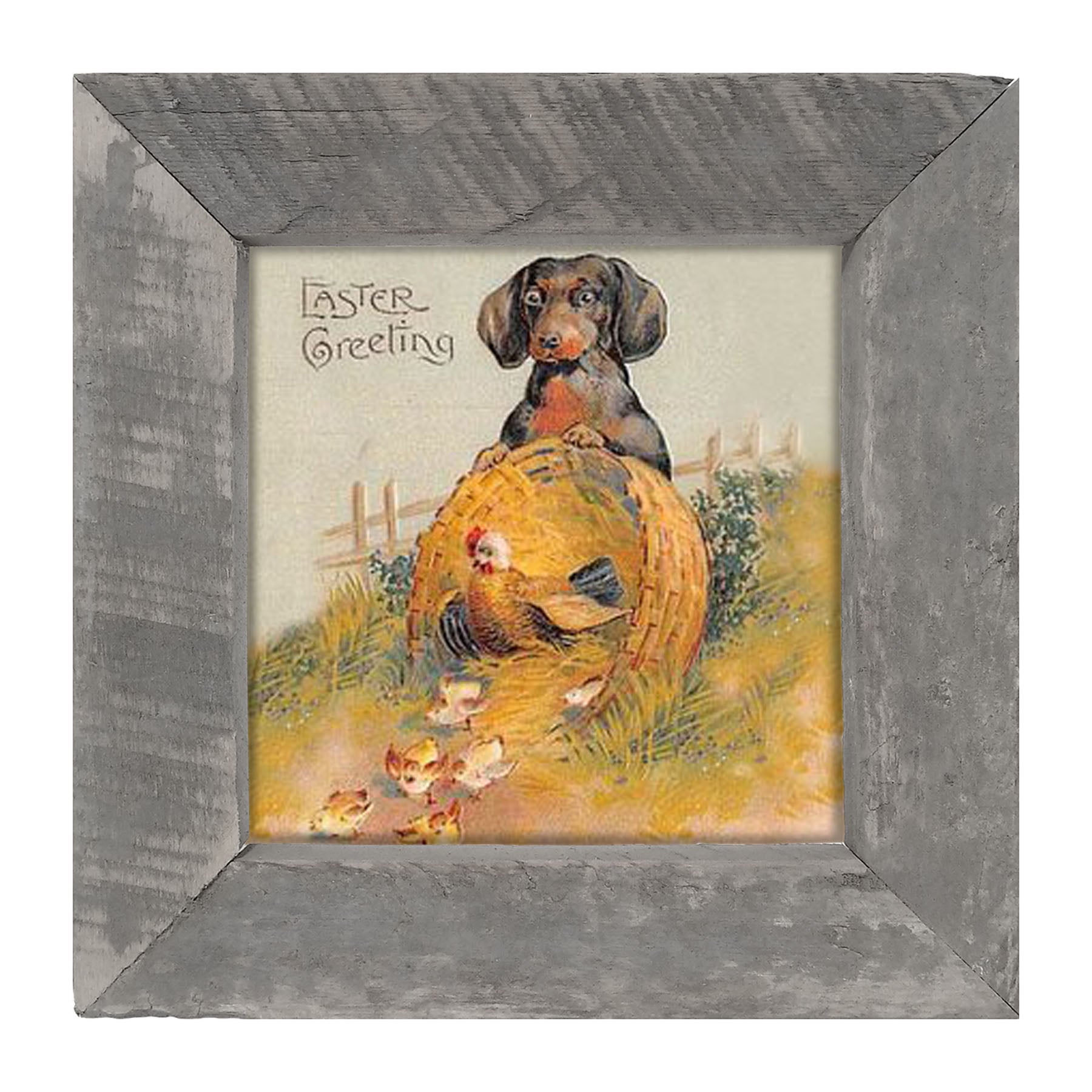 Dachshund with Baby Chicks - Framed art