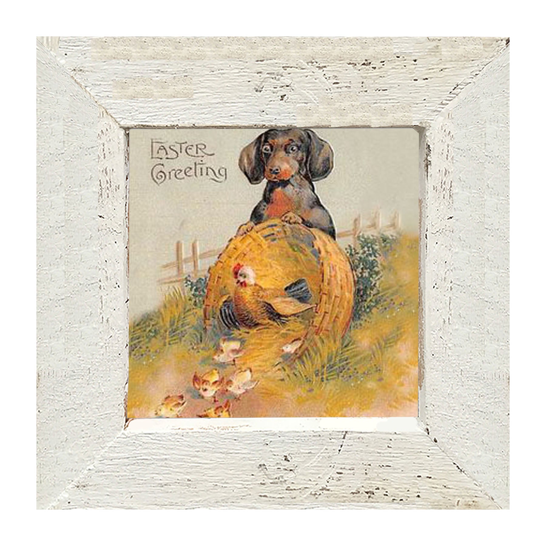 Dachshund with Baby Chicks - Framed art