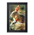 Framed Art