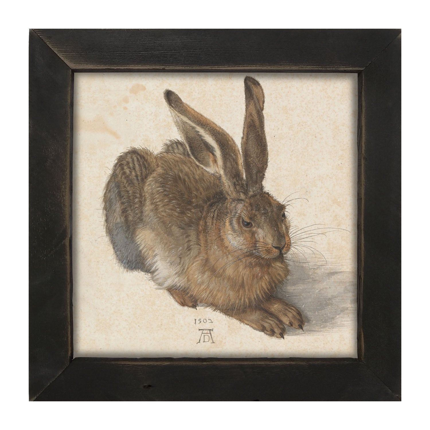 Brown Bunny- Framed art