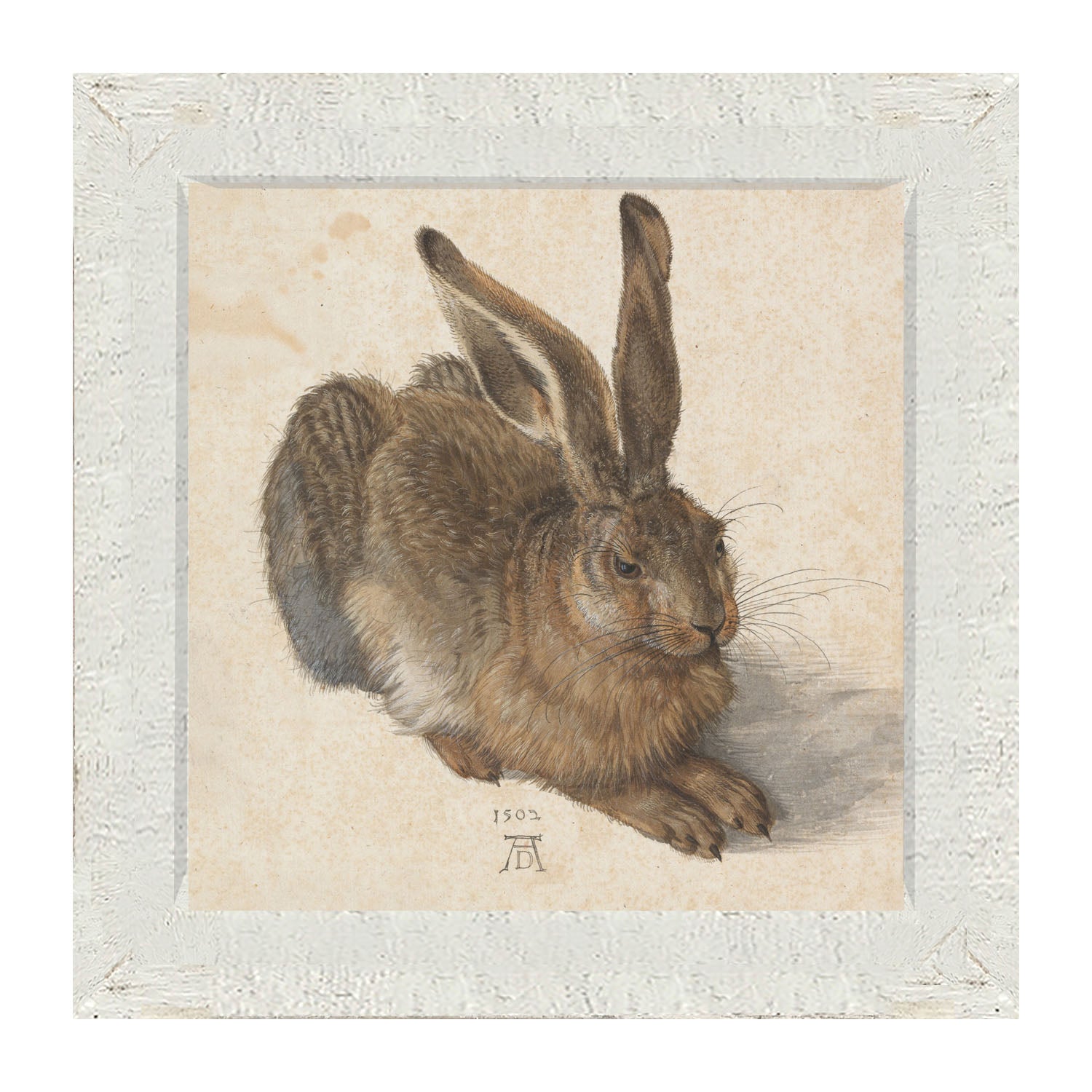 Brown Bunny- Framed art