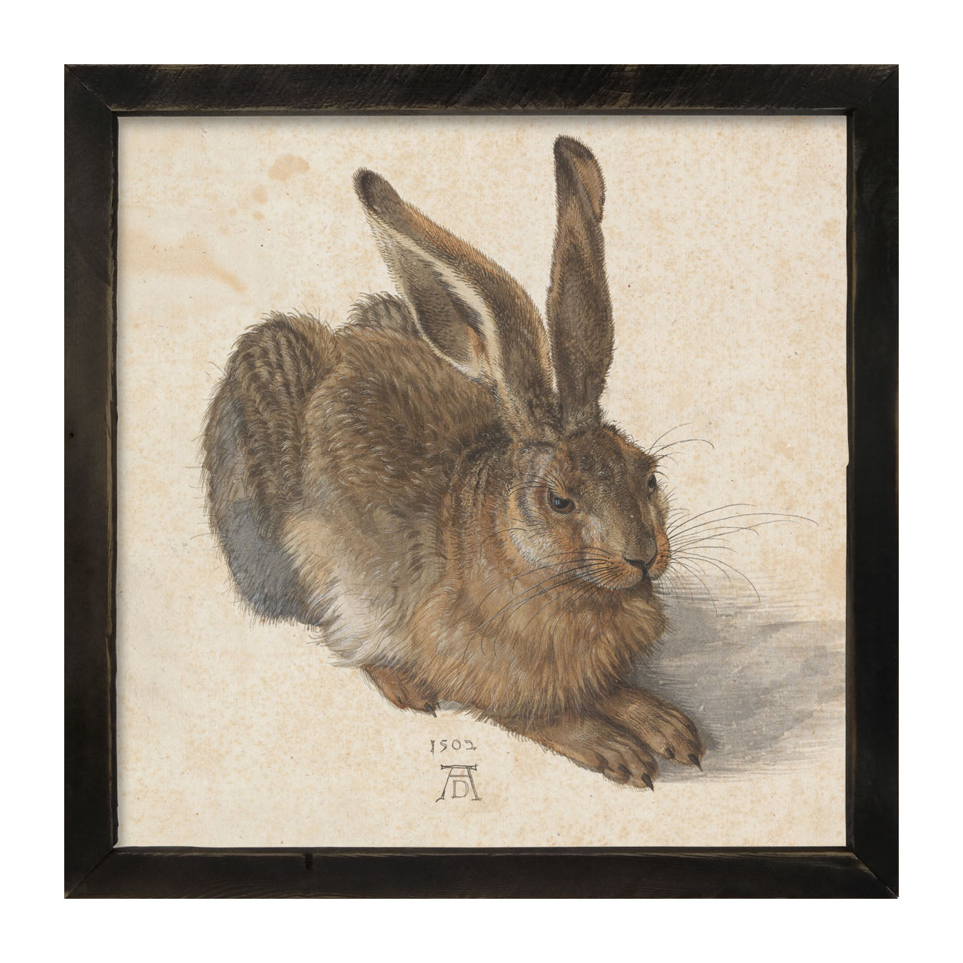 Brown Bunny- Framed art