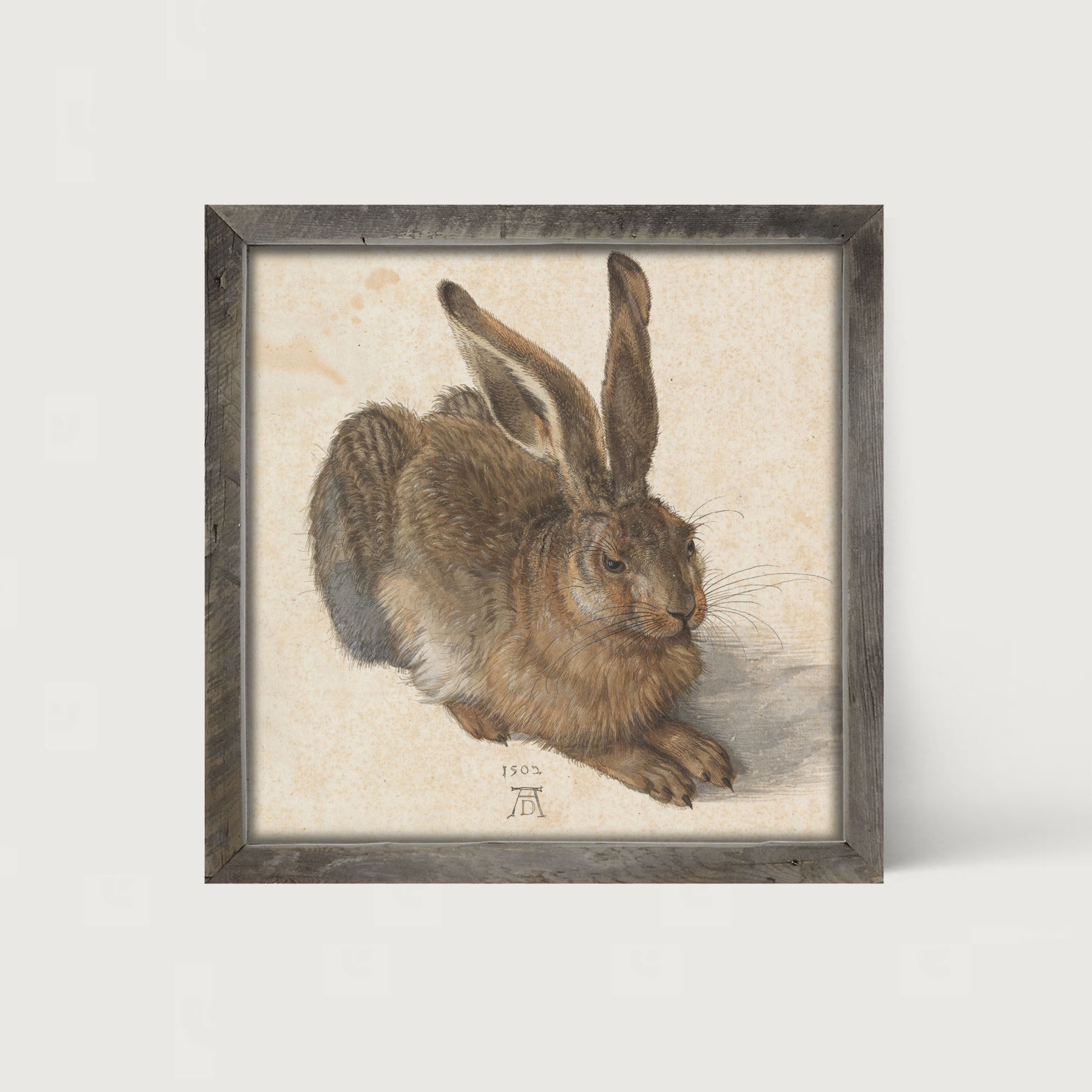 Brown Bunny- Framed art