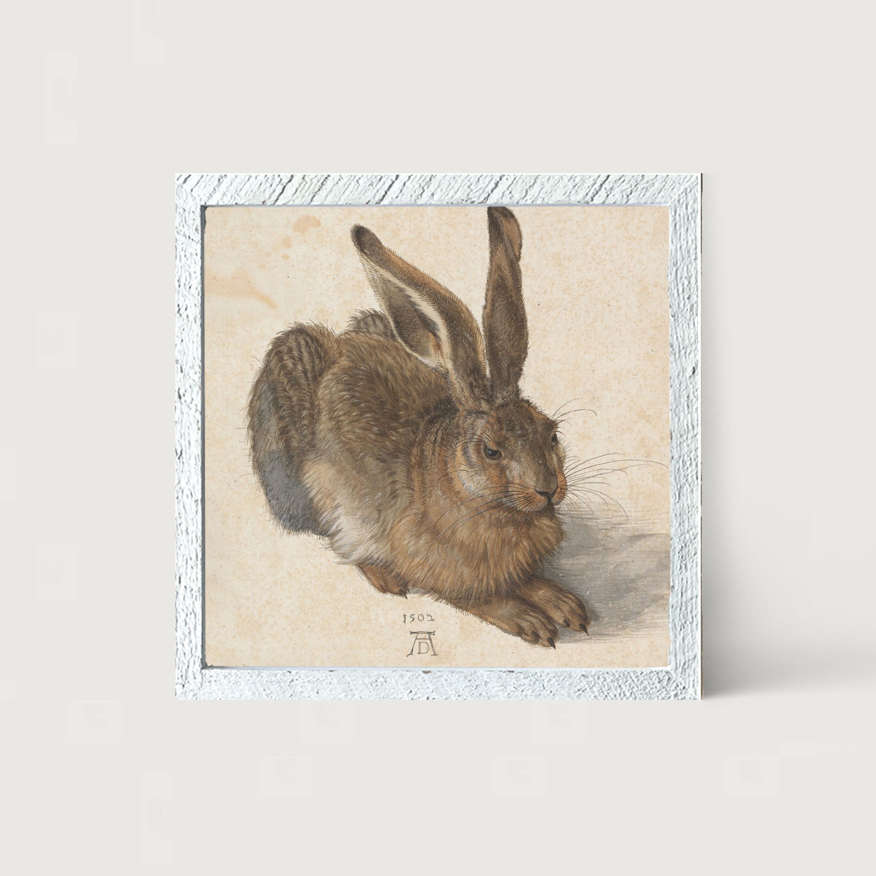 Brown Bunny- Framed art