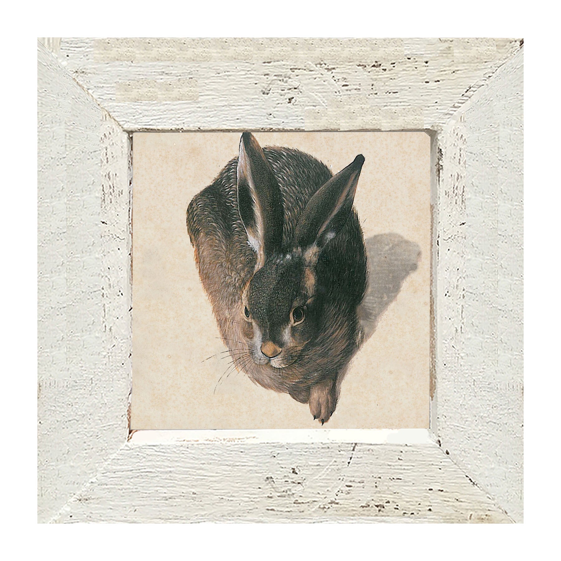 Vintage Hare - Framed Art