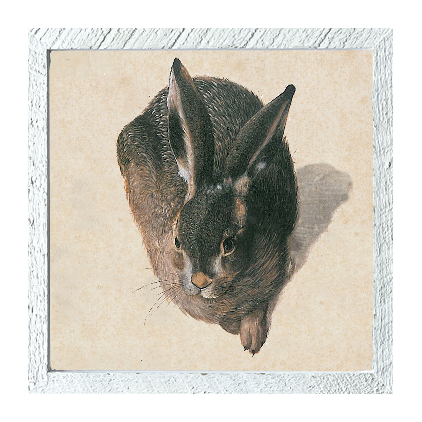 Vintage Hare - Framed Art