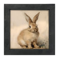Framed Art