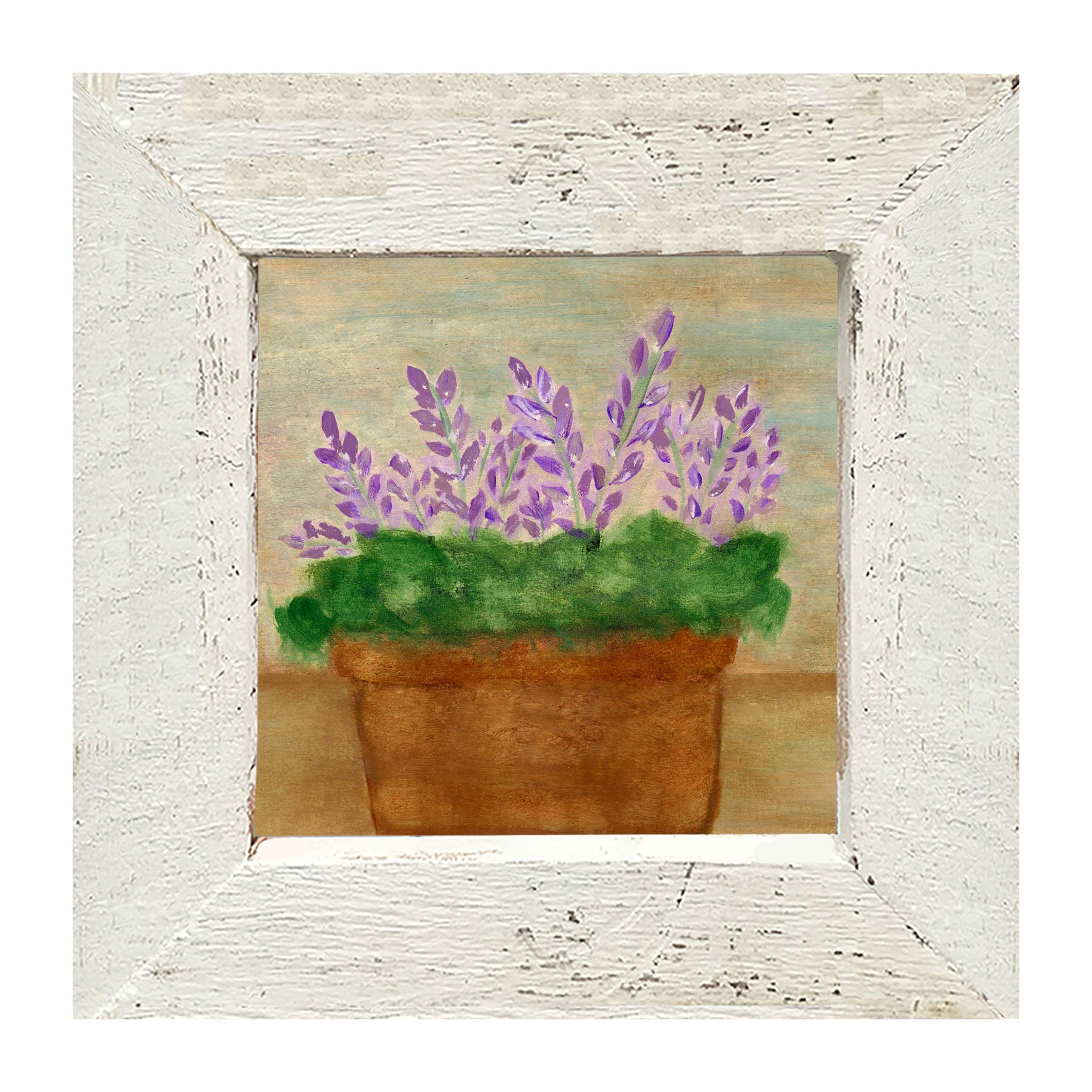 Lavender - Framed art