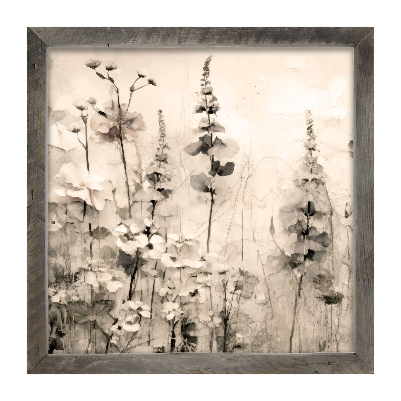 Monochrome flowers 1 - Framed art