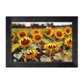 Framed Art