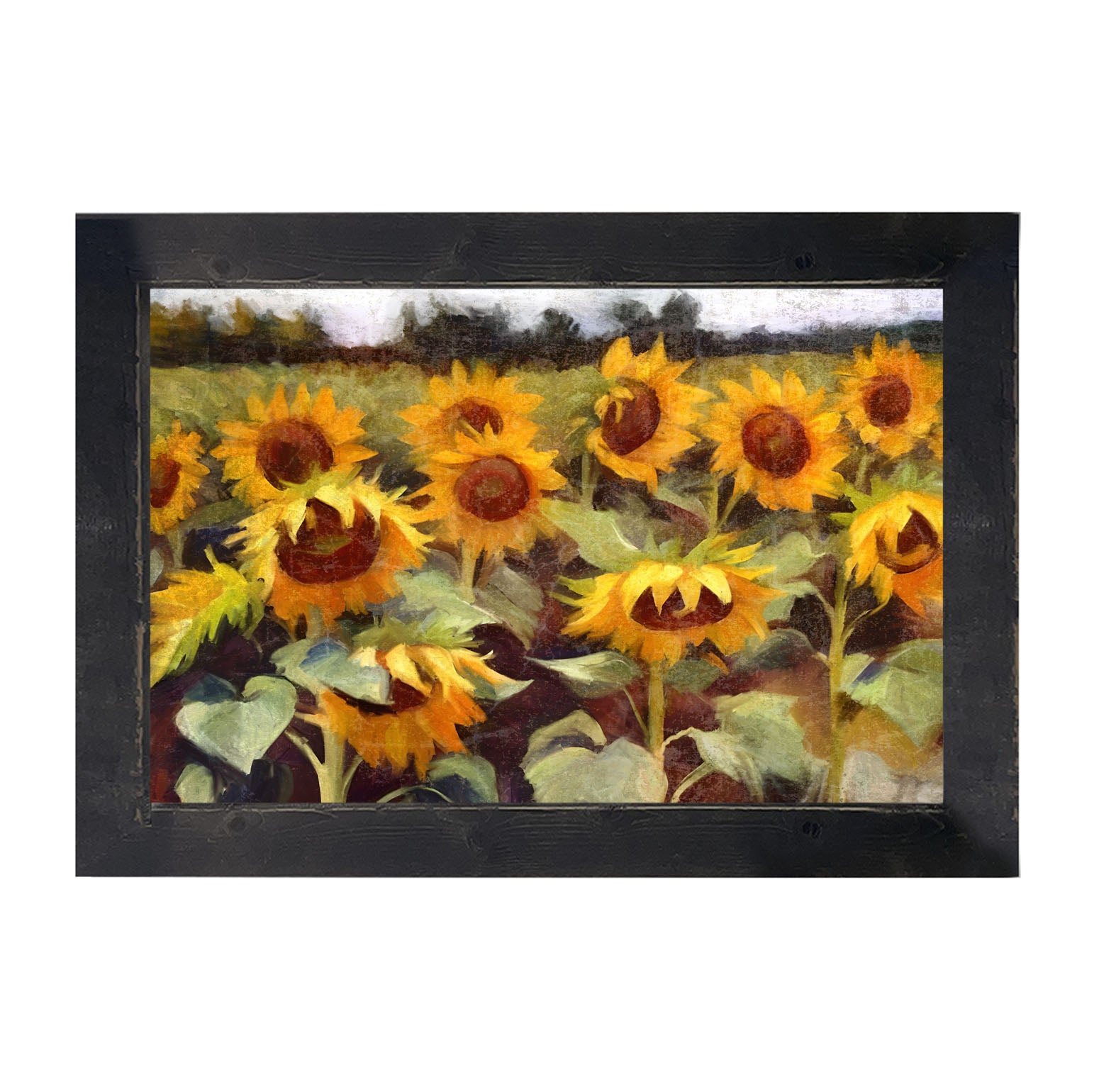 Scenic Sunflowers - Framed Art