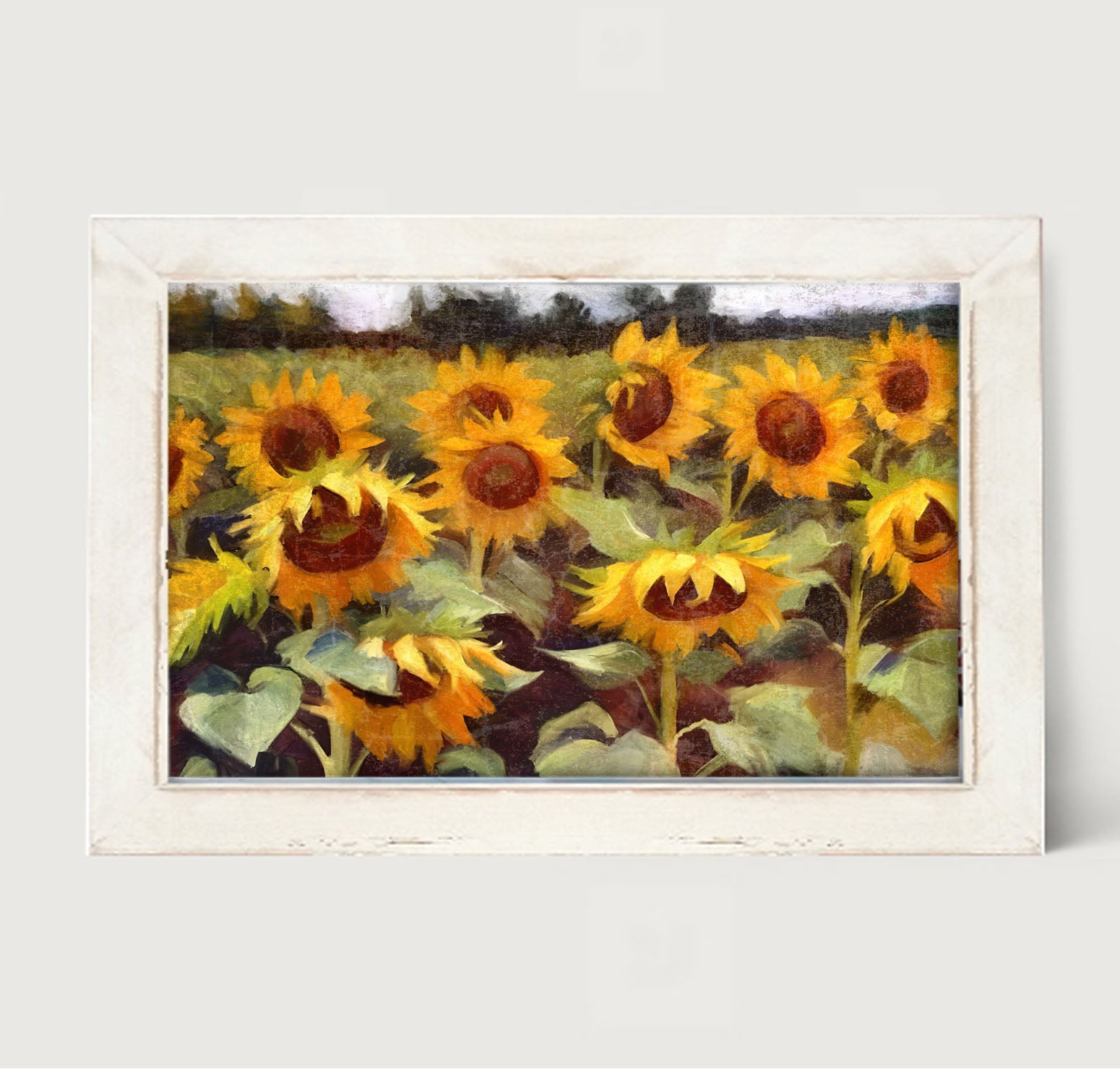 Scenic Sunflowers - Framed Art