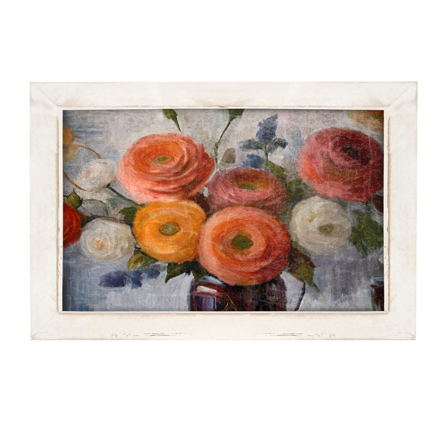 Colorful Ranunculus