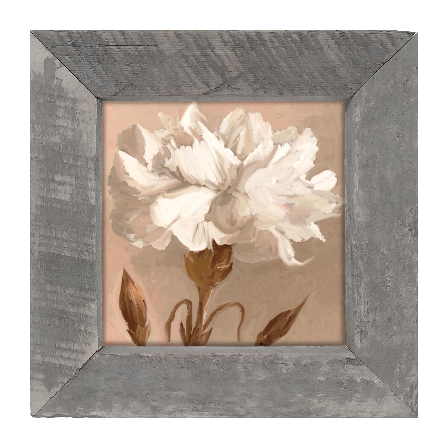 White Carnation - Framed art