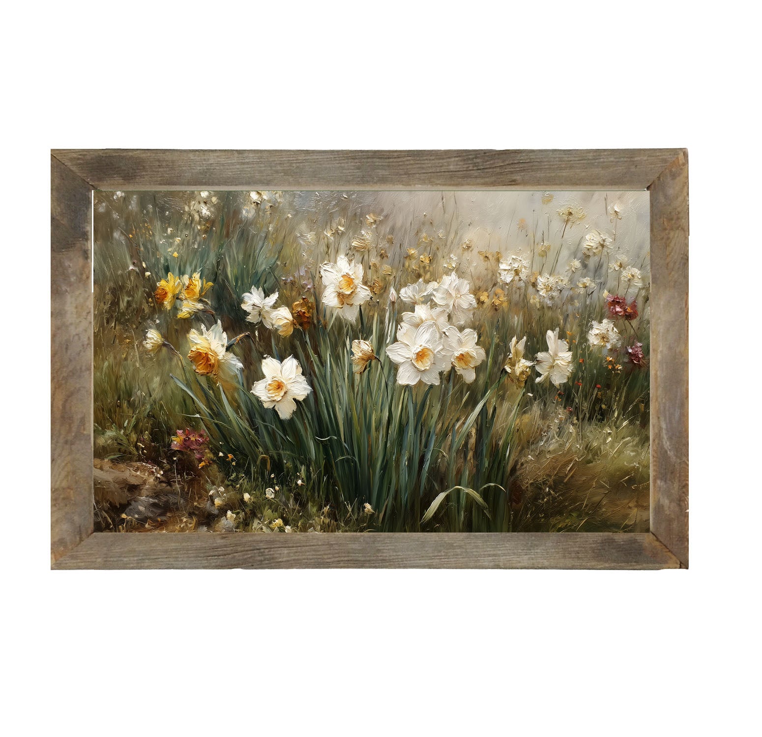 Patch of White Daffodils - Framed Art