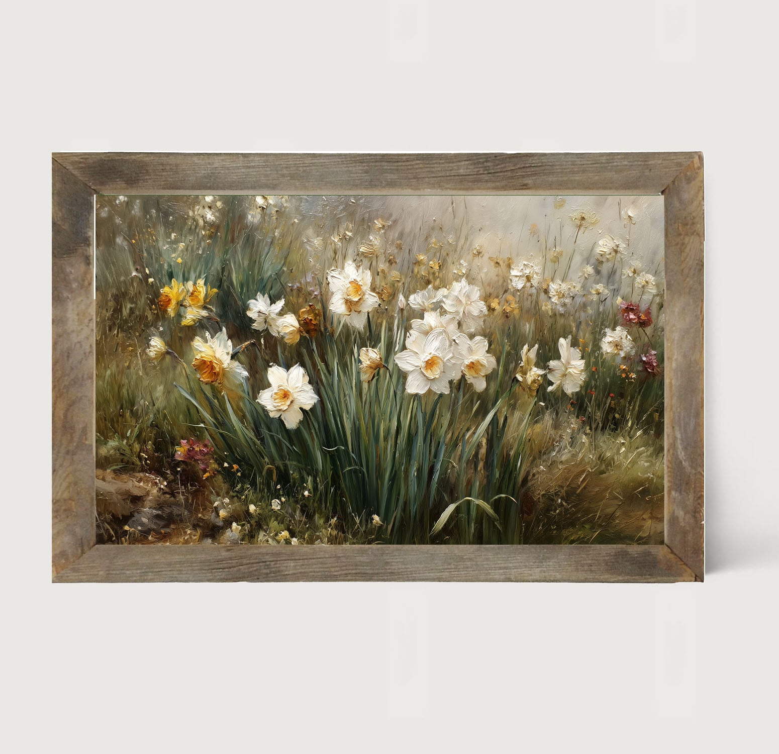 Patch of White Daffodils