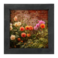 Framed Art