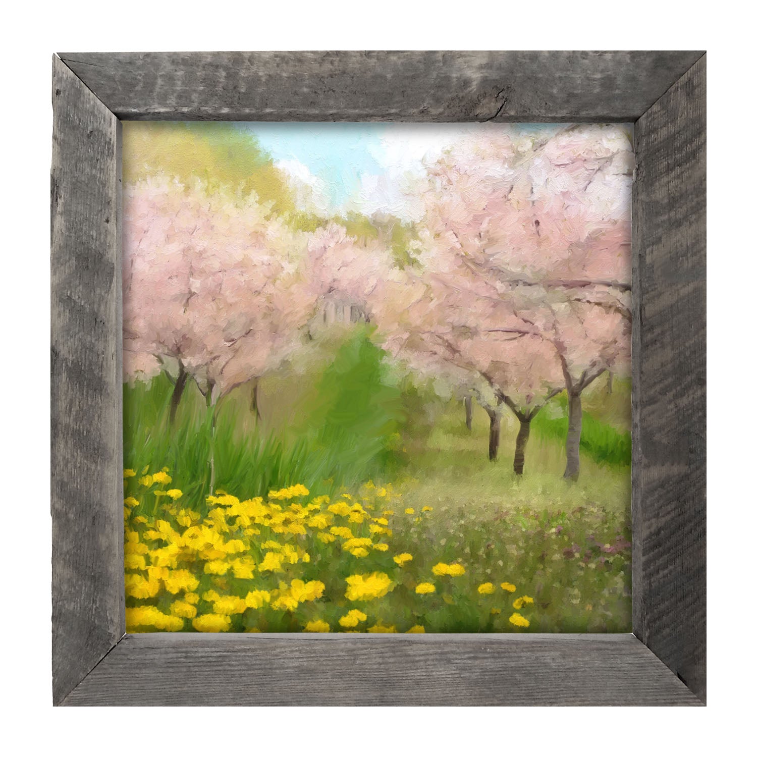 Cherry Blossoms in Bloom - Framed art