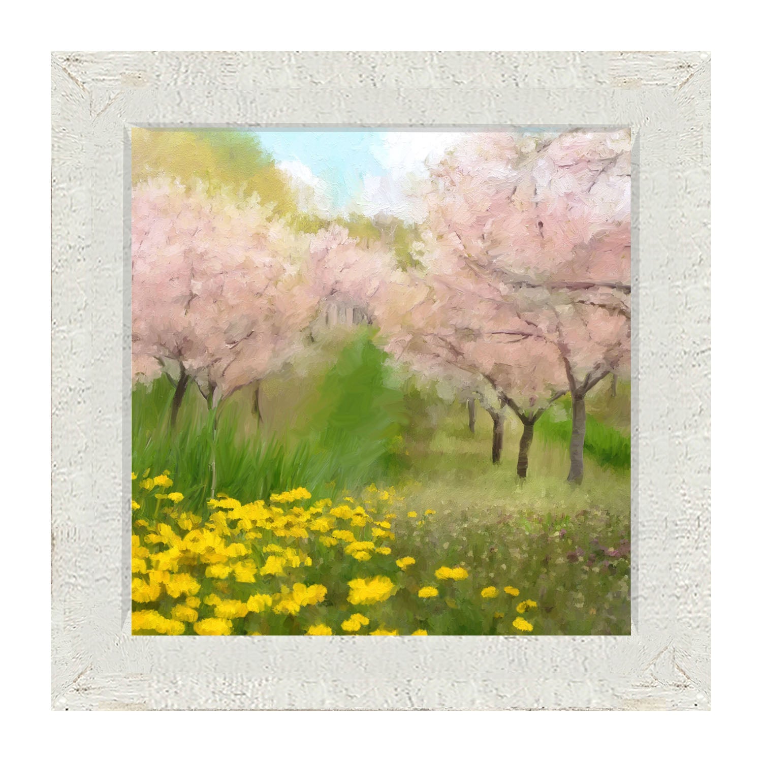 Cherry Blossoms in Bloom - Framed art