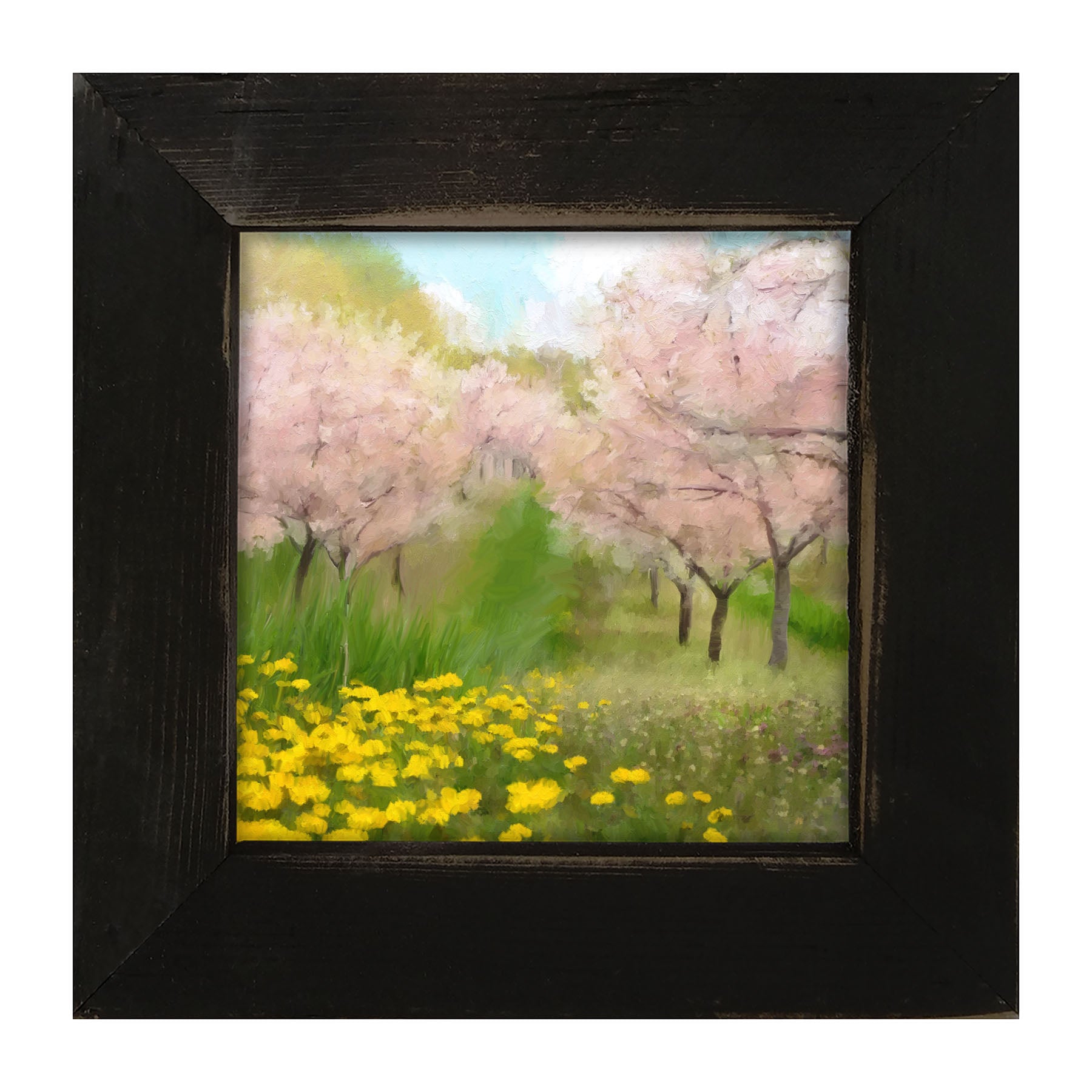 Cherry Blossoms in Bloom - Framed art