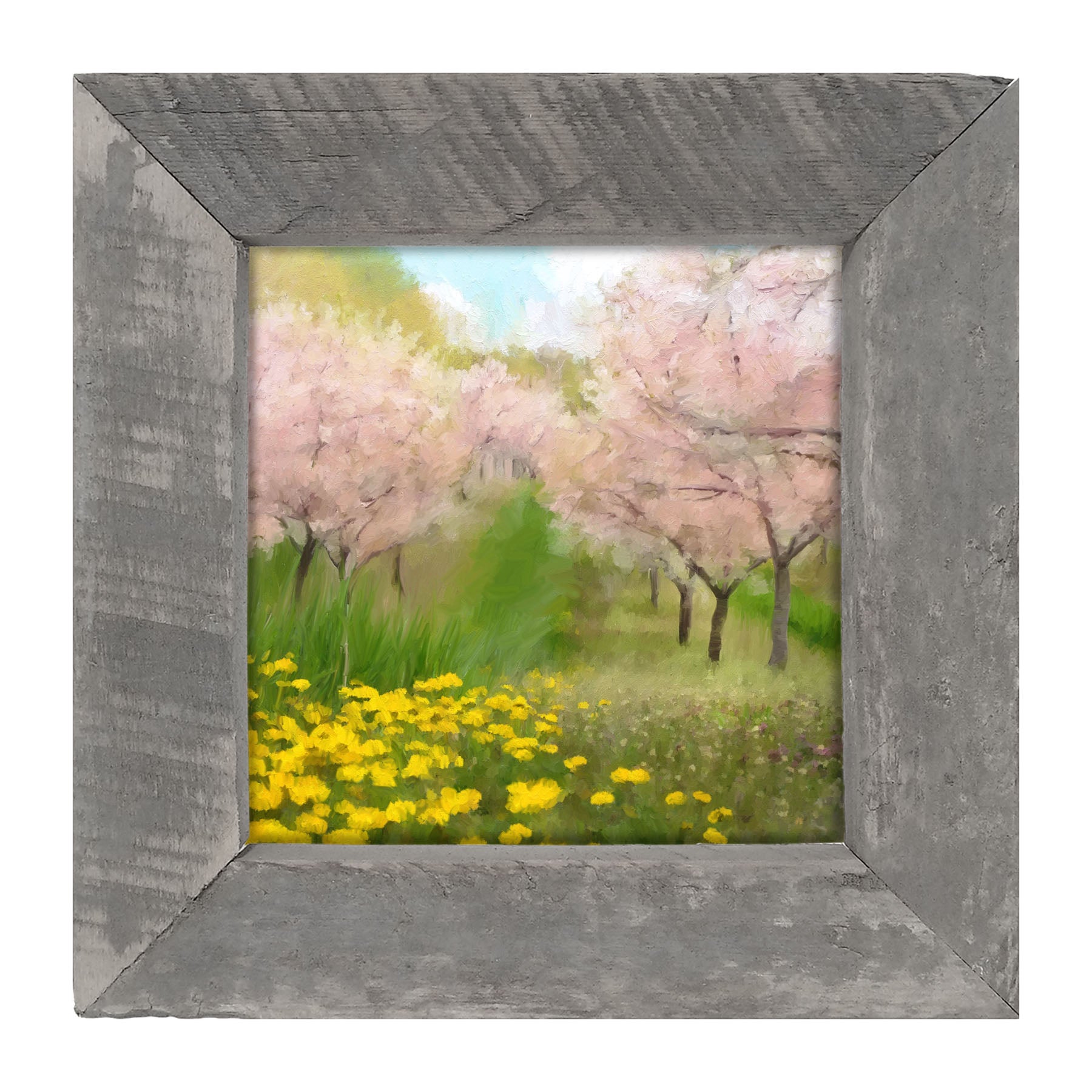 Cherry Blossoms in Bloom - Framed art