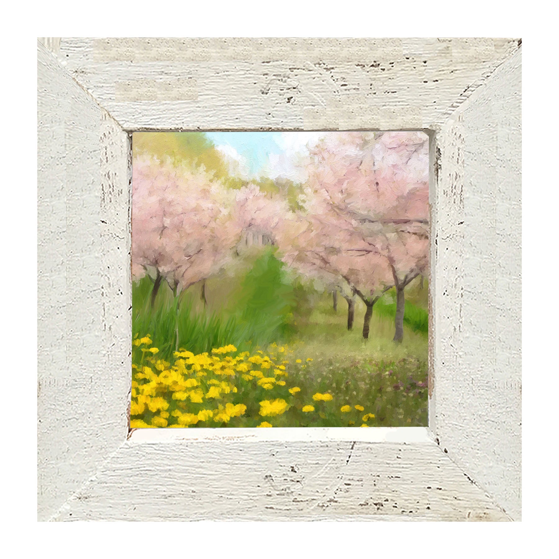 Cherry Blossoms in Bloom - Framed art