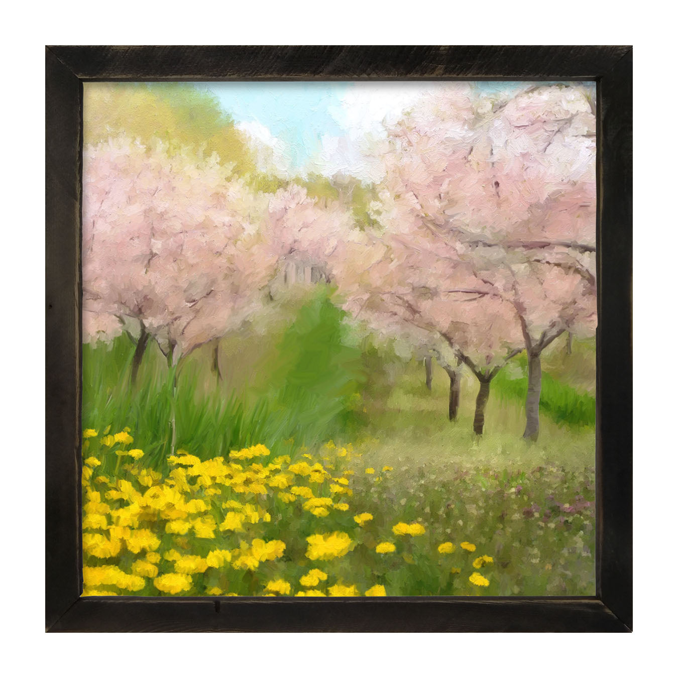 Cherry Blossoms in Bloom - Framed art