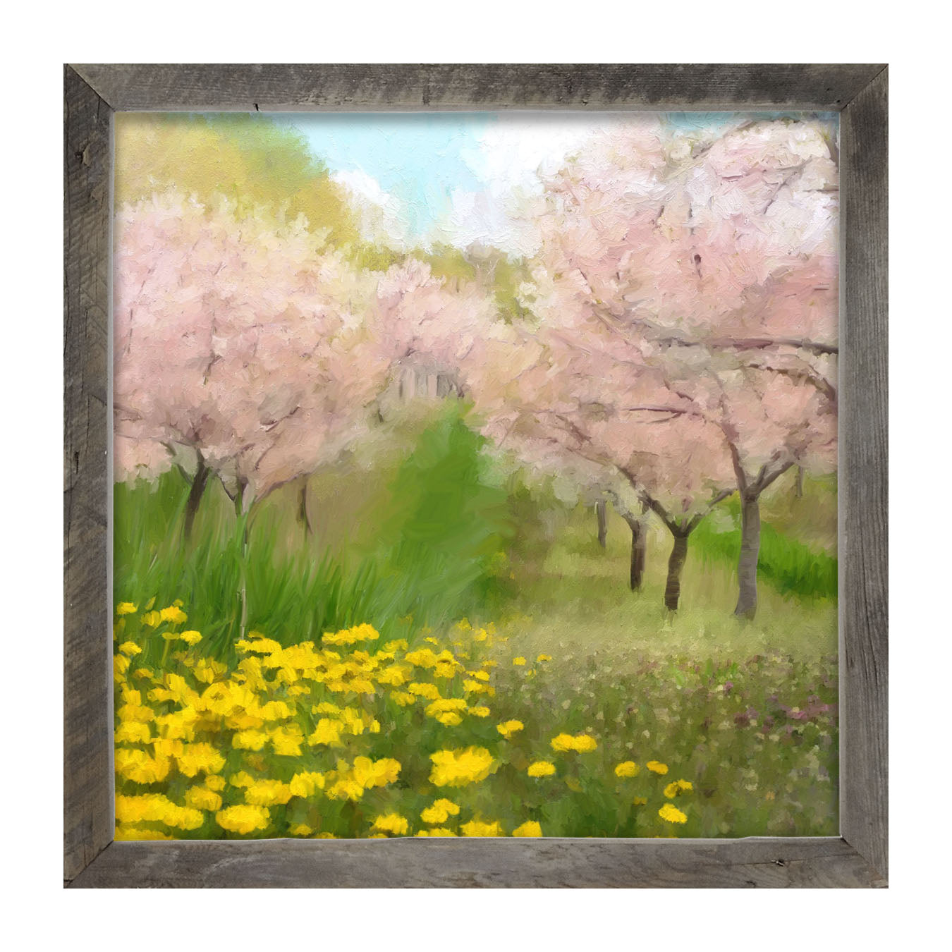 Cherry Blossoms in Bloom - Framed art