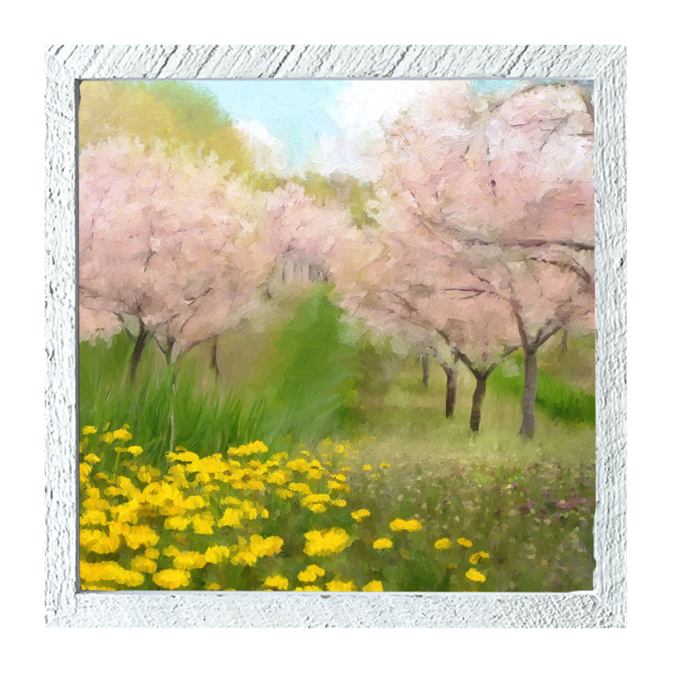 Cherry Blossoms in Bloom - Framed art