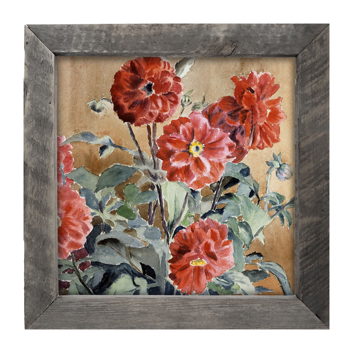 Watercolor Zinnias - Framed art