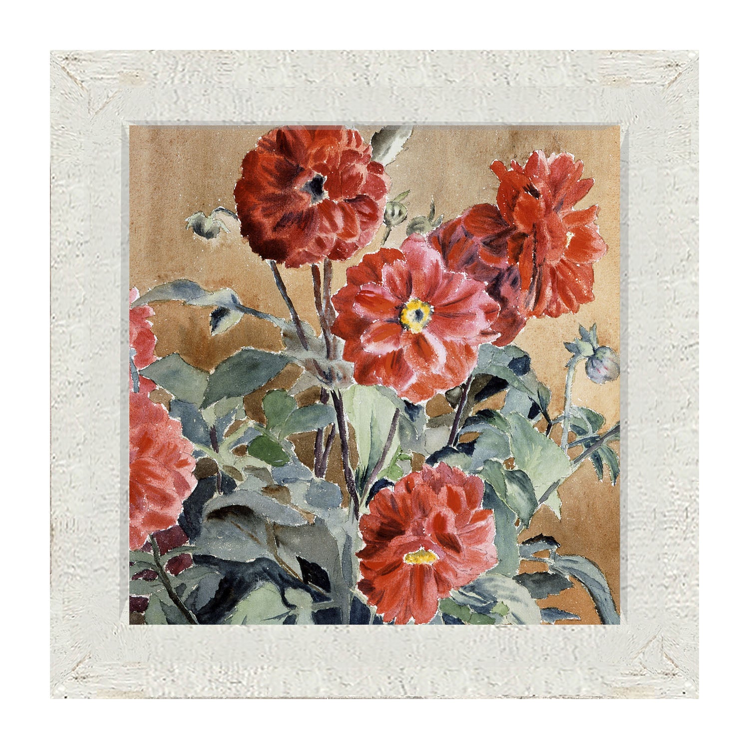 Watercolor Zinnias - Framed art