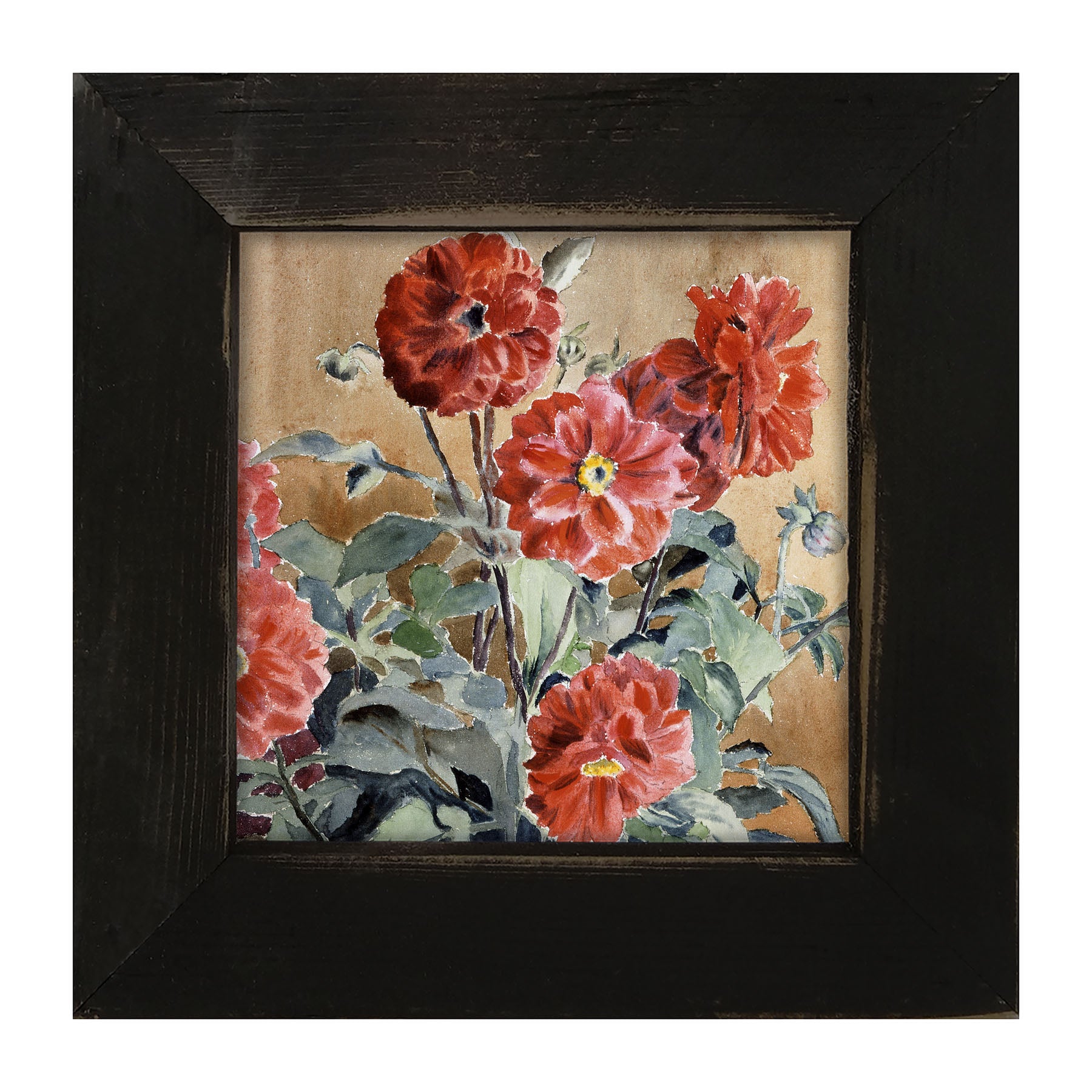 Watercolor Zinnias - Framed art