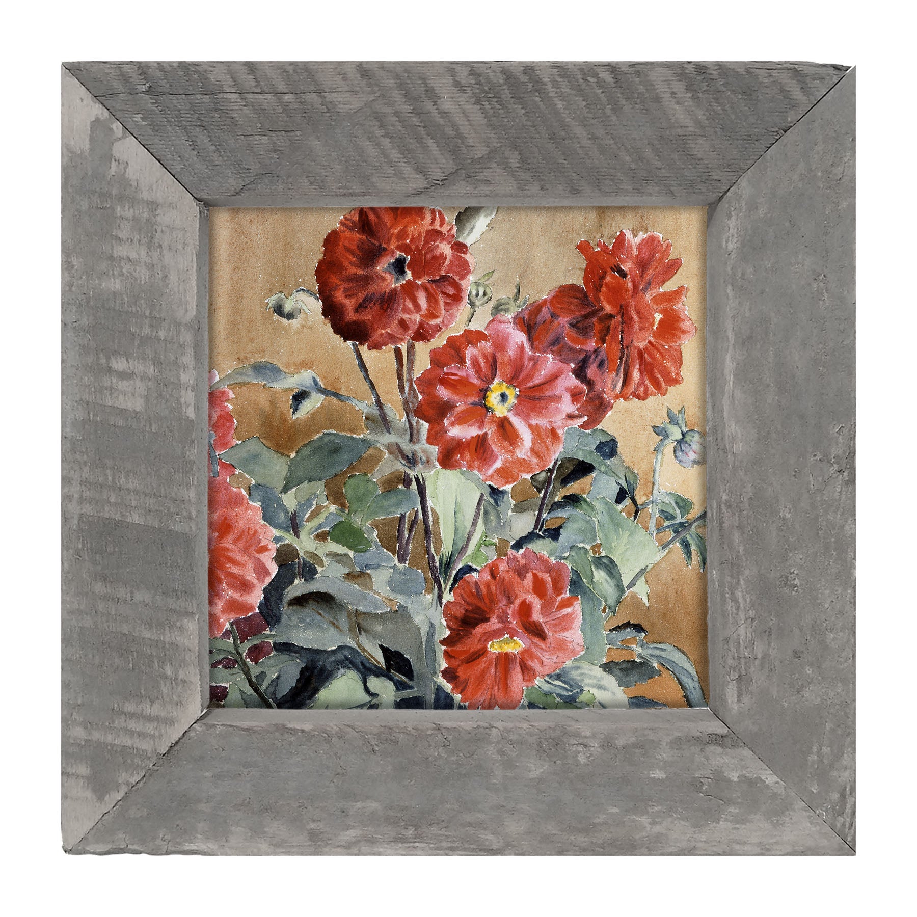 Watercolor Zinnias - Framed art