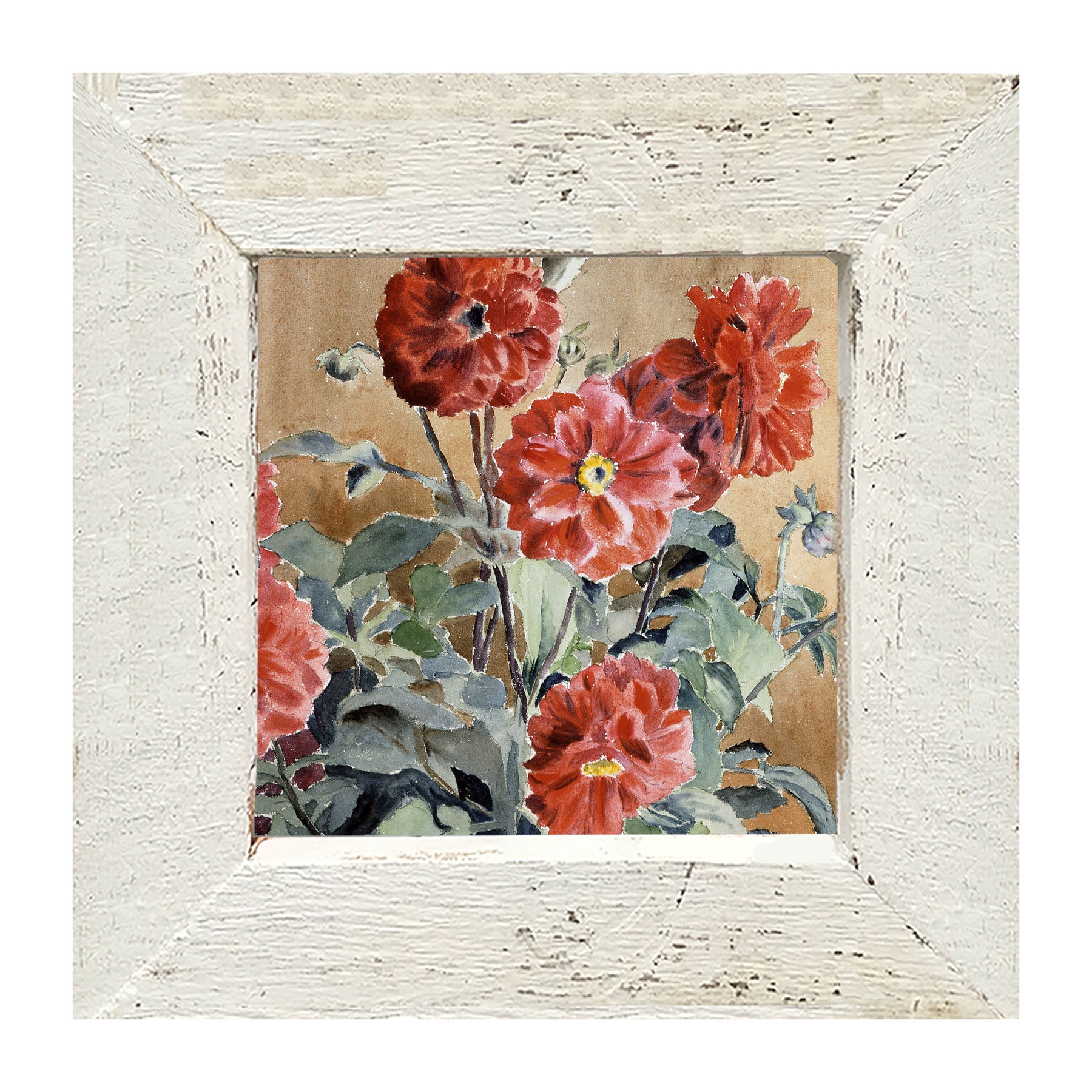 Watercolor Zinnias - Framed art