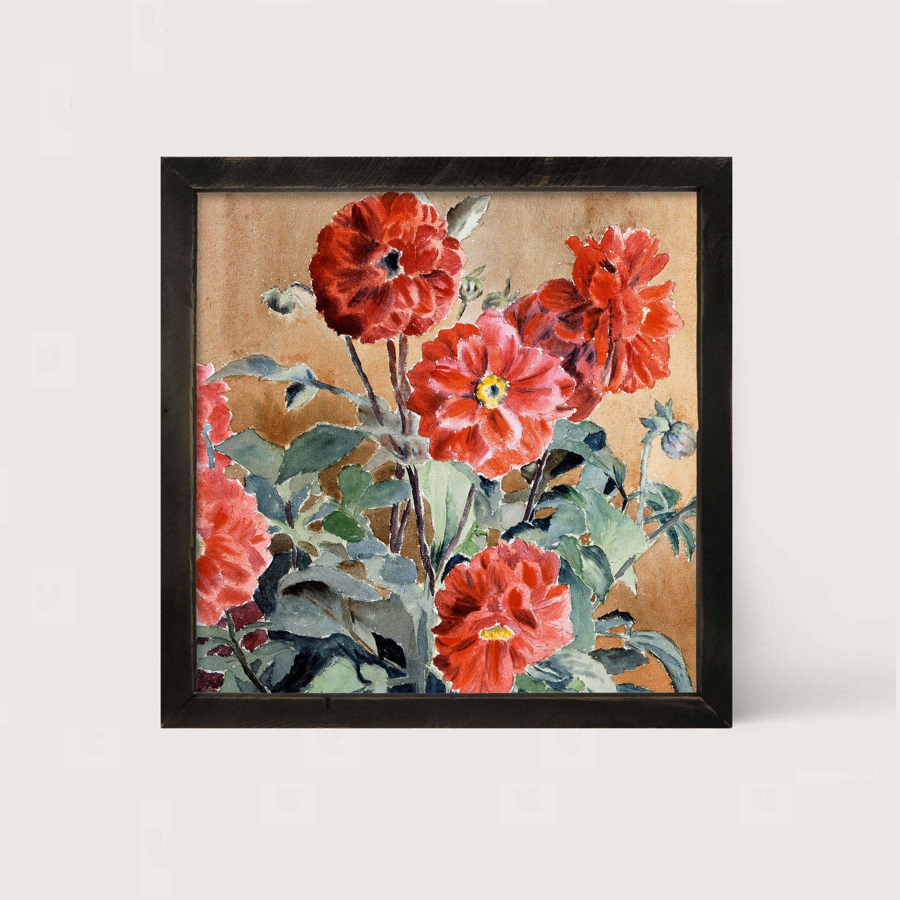 Watercolor Zinnias - Framed art