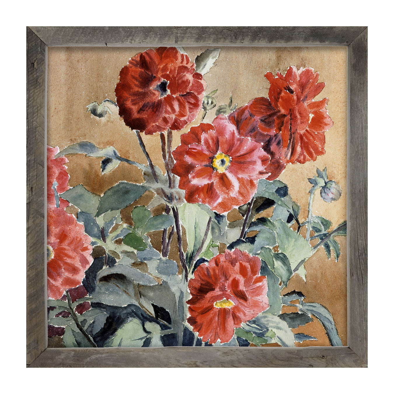 Watercolor Zinnias - Framed art